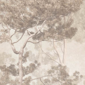 Jeger Tapeta łuk Pine