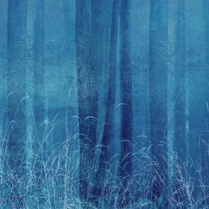 Jeger Tapeta Mural Blue