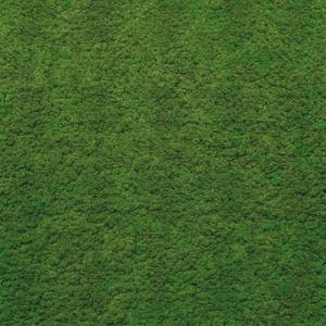 Jeger Tapeta Mural Moss
