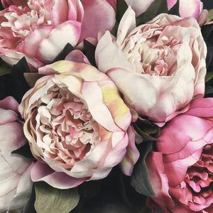 Jeger Tapeta Mural Peony