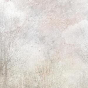 Jeger Tapeta Mural Ramil