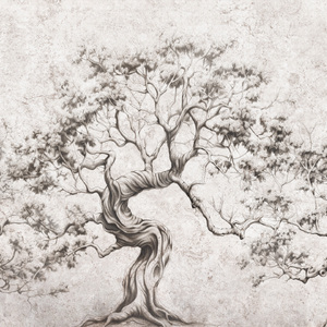 Jeger Tapeta Mural Timber