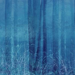 Jeger Tapeta na wymiar Blue