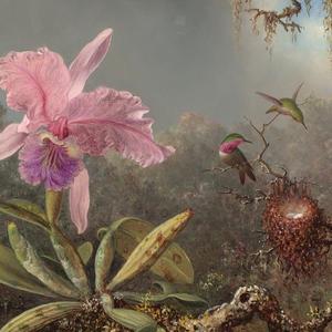 Jeger Tapeta na wymiar Magic