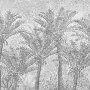 Jeger Tapeta na wymiar Palms